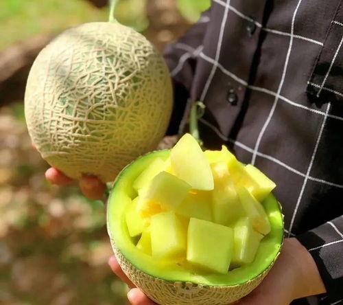 最近娱乐圈可以吃的瓜,明星们的甜蜜与苦涩